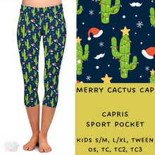 Load image into Gallery viewer, Ready To Ship - Merry Cactus
